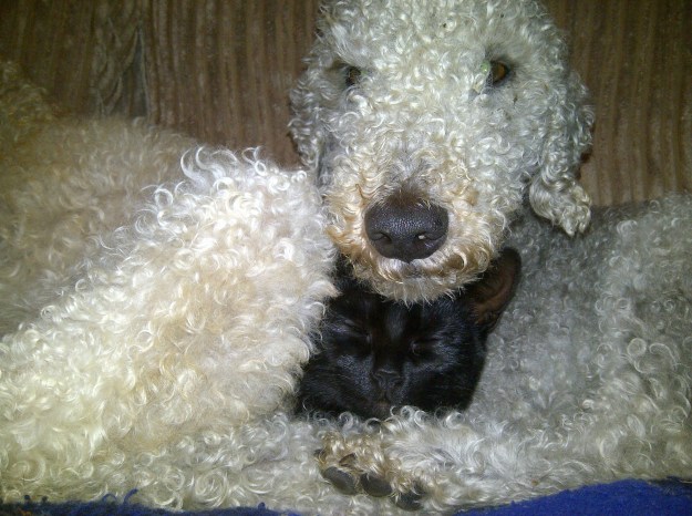 Many would not have thought this possible, but they are best of friends now.