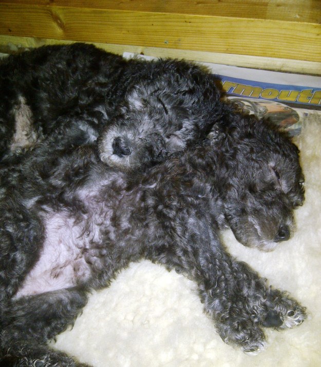 Picture says it all!